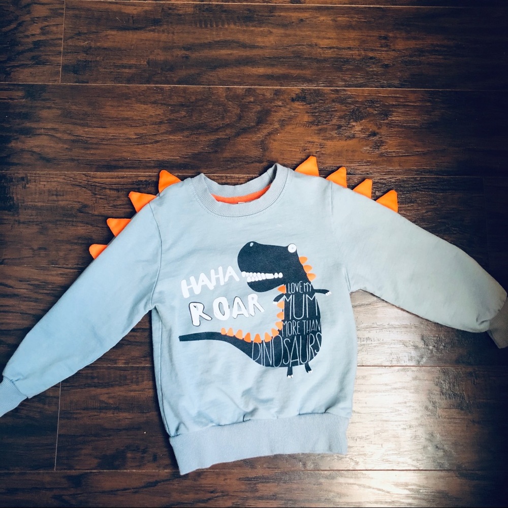 Dinosaur Sweatshirt